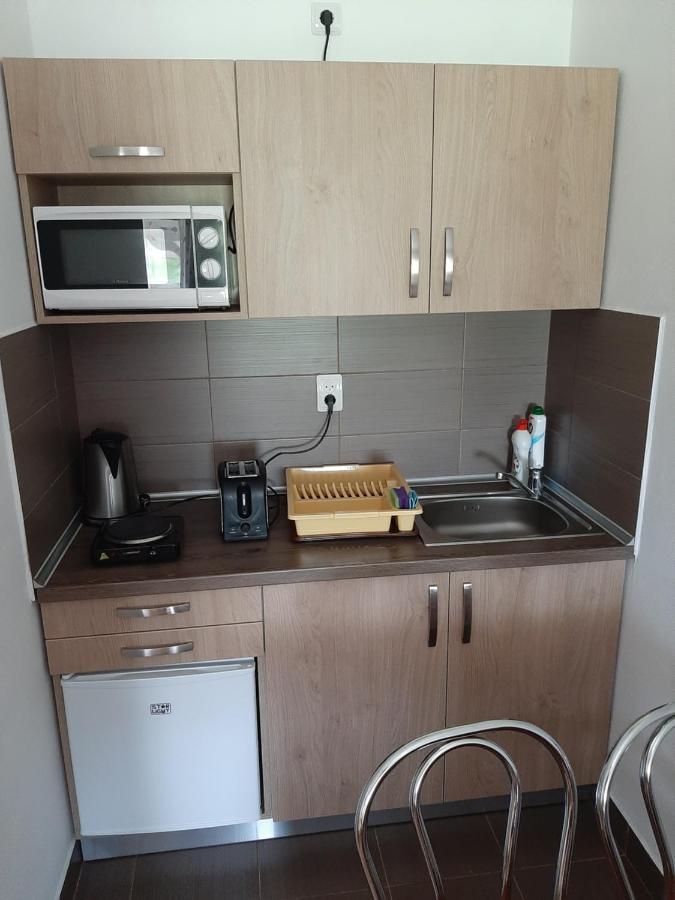 Kacso Apartma Ocna de Sus Exterior photo